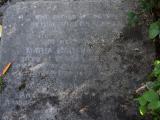 image of grave number 807029